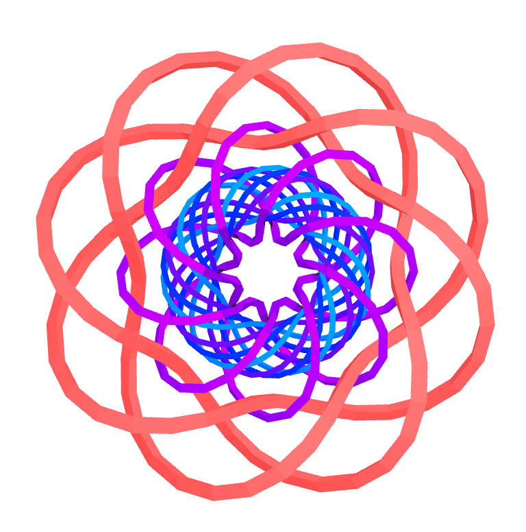 TorusKnotFlower