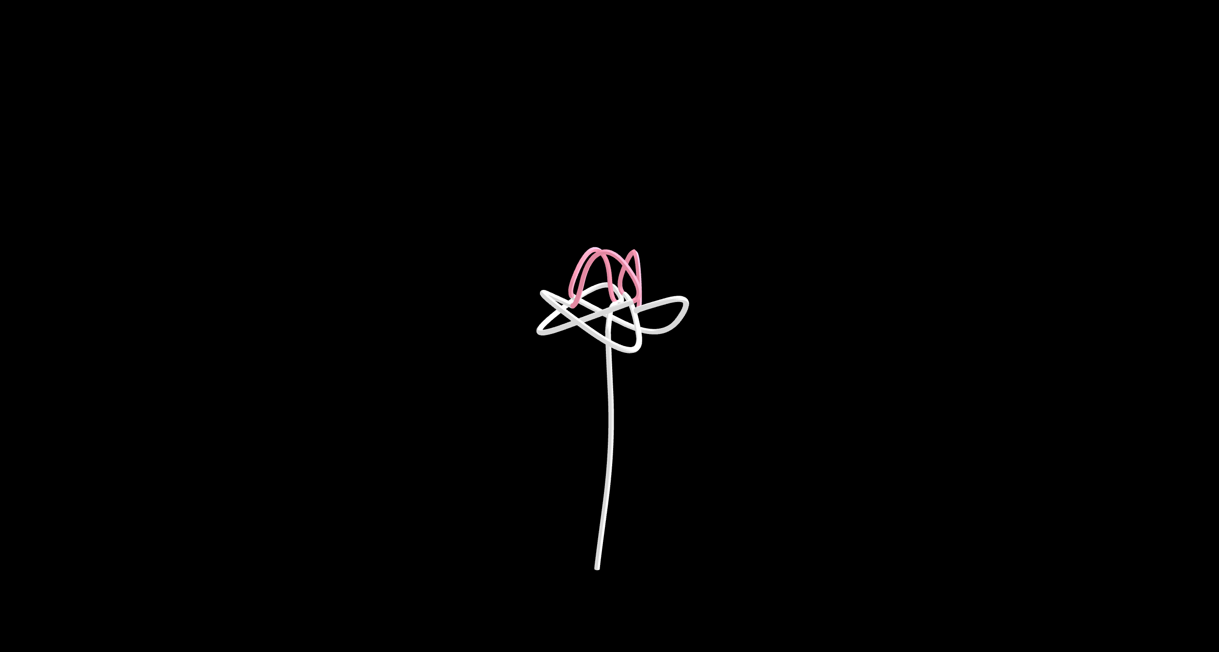 TrefoilRose